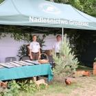 zdjęcie nr 334