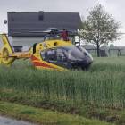 Fotka nr 2 z 3