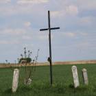 zdjęcie nr 26