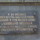 Fotka nr 3 z 11