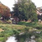 zdjęcie nr 13