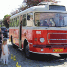 zdjęcie nr 16