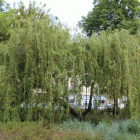 zdjęcie nr 84