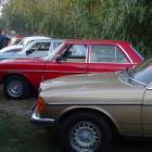 zdjęcie nr 30