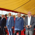 zdjęcie nr 10