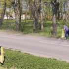 zdjęcie nr 27
