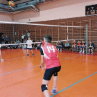 Fotka nr 2 z 16