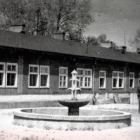 Fotka nr 5 z 11