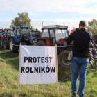 zdjęcie nr 35