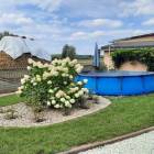 zdjęcie nr 8