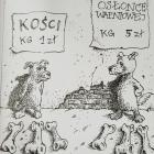zdjęcie nr 9