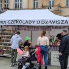 zdjęcie nr 11
