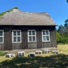 zdjęcie nr 10
