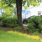 zdjęcie nr 32