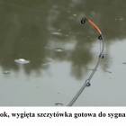 Fotka nr 3 z 8