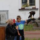 zdjęcie nr 30
