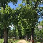 zdjęcie nr 31