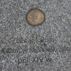 zdjęcie nr 8