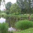 zdjęcie nr 10