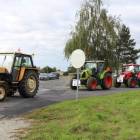 zdjęcie nr 11