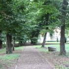 zdjęcie nr 22