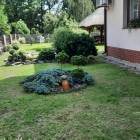 zdjęcie nr 51