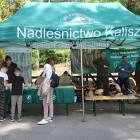 zdjęcie nr 56