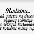 zdjęcie nr 112