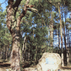 zdjęcie nr 47