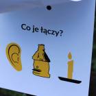 zdjęcie nr 10