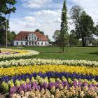 zdjęcie nr 68