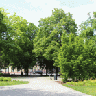 zdjęcie nr 59