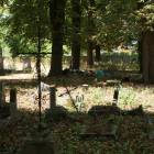 zdjęcie nr 47