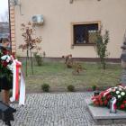 zdjęcie nr 220