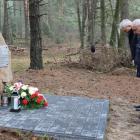 zdjęcie nr 15