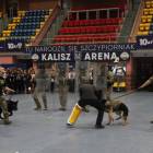 zdjęcie nr 118