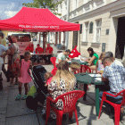 zdjęcie nr 13