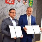 zdjęcie nr 13