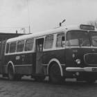 Fotka nr 5 z 13