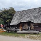 zdjęcie nr 15