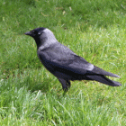 zdjęcie nr 55