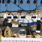 zdjęcie nr 90
