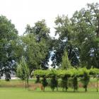 zdjęcie nr 59