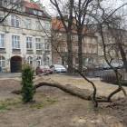 zdjęcie nr 15
