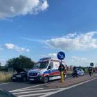 Fotka nr 1 z 2
