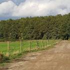 zdjęcie nr 16