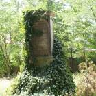 zdjęcie nr 40