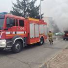 Fotka nr 1 z 13