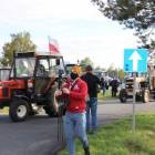 zdjęcie nr 39
