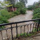 zdjęcie nr 8